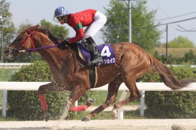 ファイル 349-2.jpg