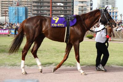 ファイル 350-1.jpg