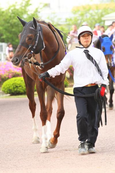 ファイル 350-2.jpg