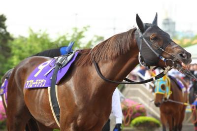 ファイル 350-3.jpg