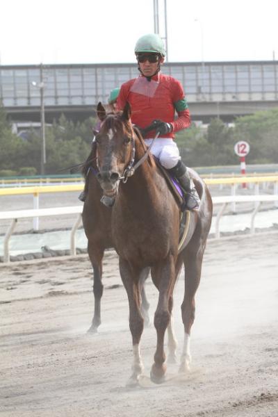 ファイル 351-2.jpg