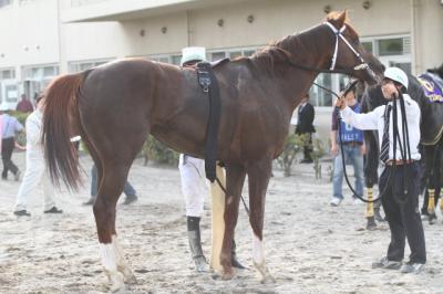 ファイル 351-4.jpg