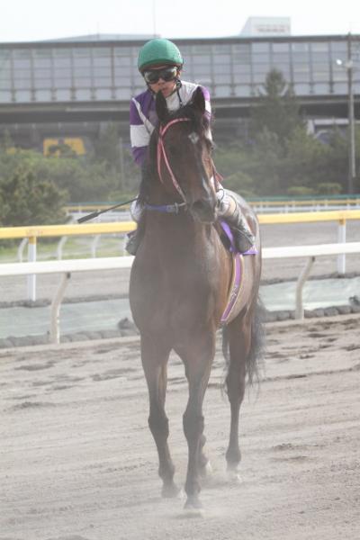 ファイル 353-1.jpg