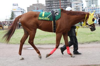 ファイル 354-1.jpg