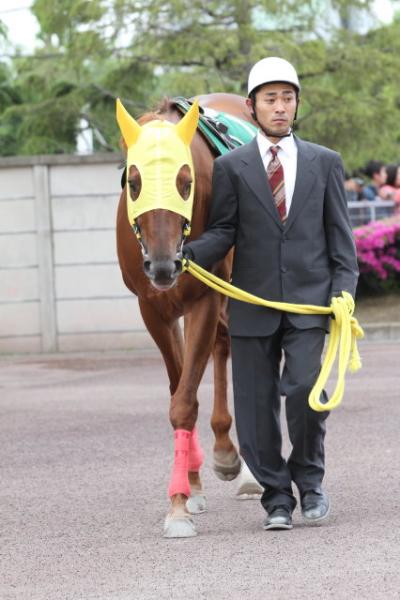 ファイル 354-2.jpg