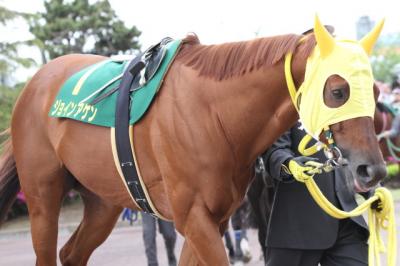 ファイル 354-4.jpg