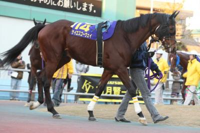 ファイル 43-1.jpg