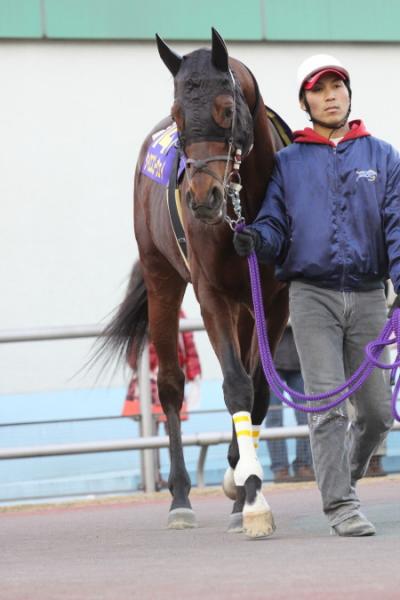 ファイル 43-2.jpg