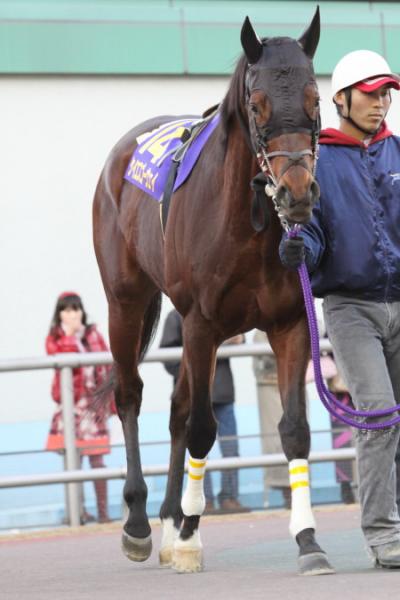 ファイル 43-3.jpg