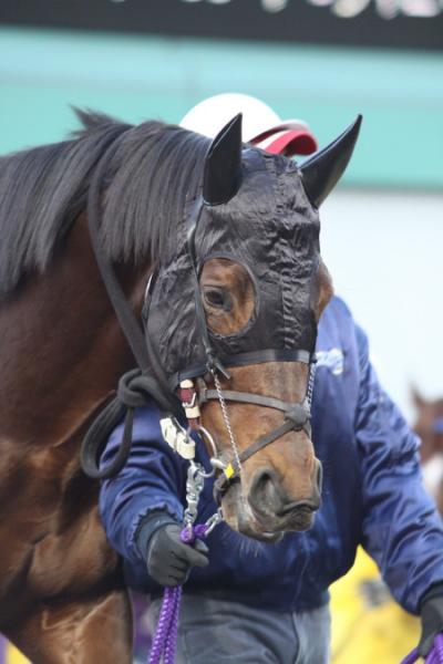 ファイル 43-5.jpg