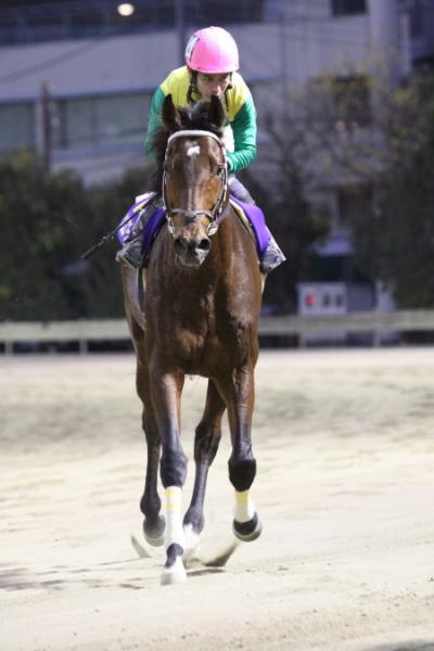 ファイル 44-1.jpg