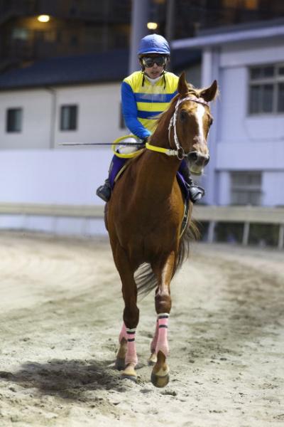 ファイル 455-3.jpg