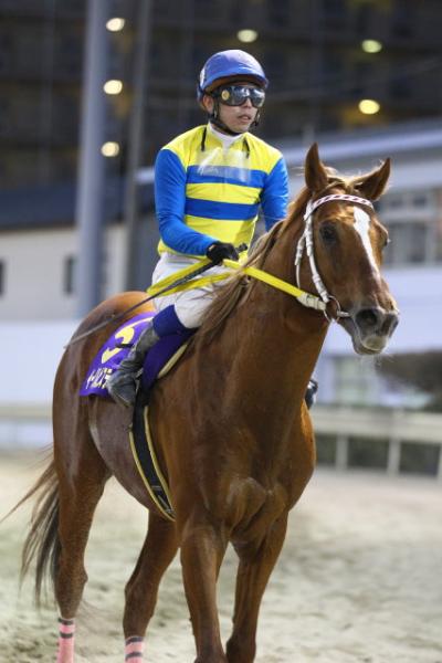 ファイル 455-4.jpg