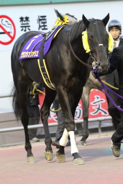 ファイル 456-3.jpg