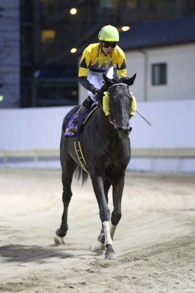 ファイル 457-2.jpg