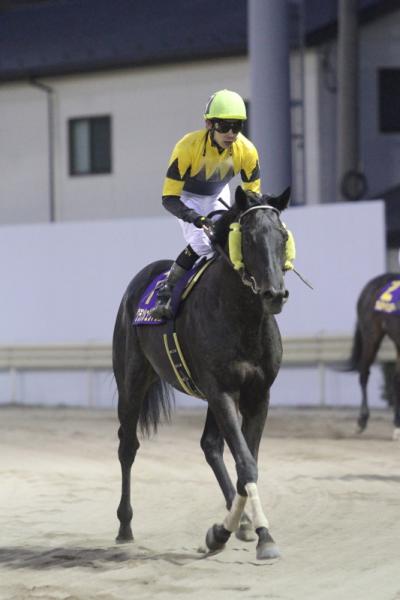 ファイル 458-4.jpg