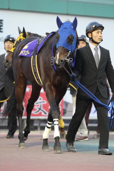 ファイル 459-1.jpg