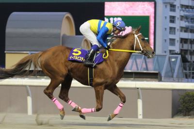 ファイル 460-3.jpg