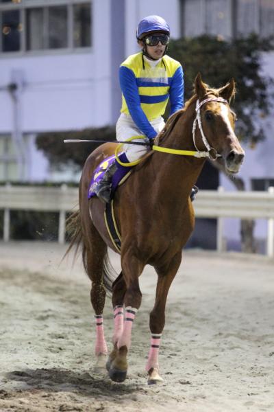 ファイル 460-4.jpg