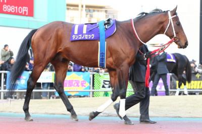 ファイル 465-1.jpg