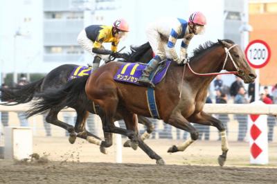 ファイル 466-1.jpg