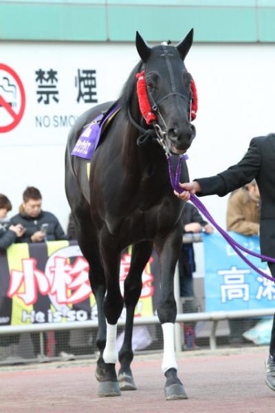 ファイル 467-4.jpg