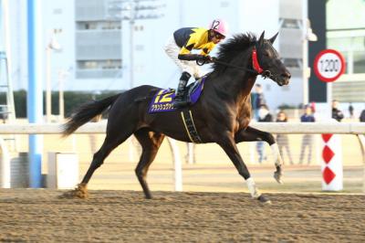 ファイル 468-1.jpg