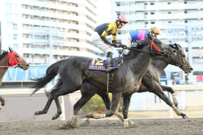 ファイル 468-3.jpg