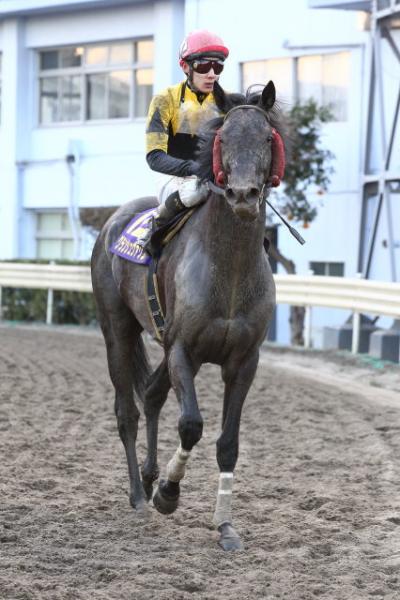 ファイル 468-4.jpg