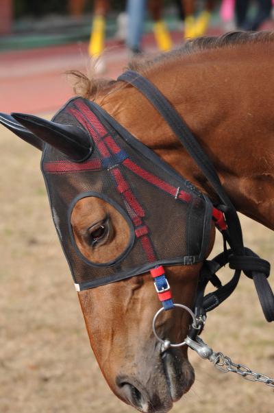 ファイル 475-1.jpg