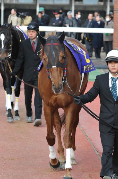 ファイル 475-2.jpg