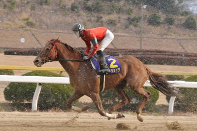 ファイル 475-4.jpg