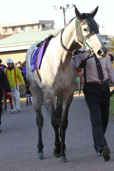 ファイル 481-2.jpg