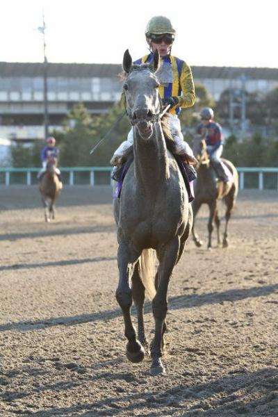 ファイル 481-5.jpg