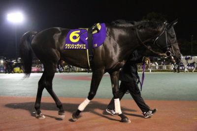 ファイル 482-1.jpg