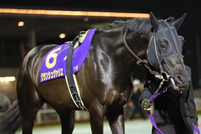 ファイル 482-3.jpg