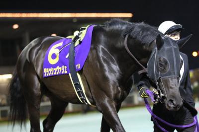 ファイル 482-4.jpg