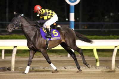 ファイル 483-1.jpg