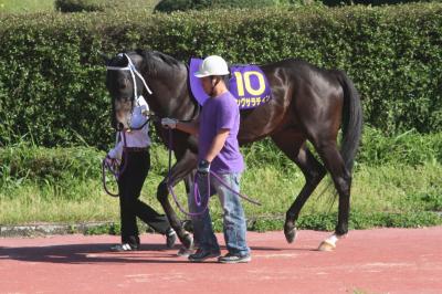 ファイル 484-2.jpg