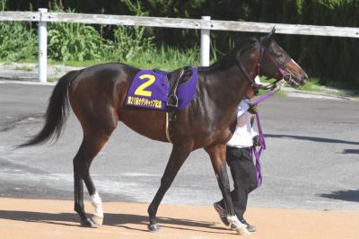 ファイル 485-1.jpg