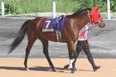 ファイル 486-1.jpg