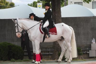 ファイル 488-1.jpg