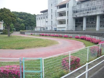 ファイル 489-1.jpg