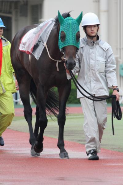 ファイル 490-1.jpg