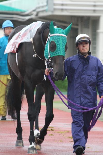 ファイル 491-1.jpg