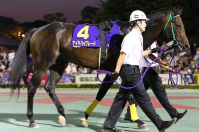 ファイル 493-1.jpg