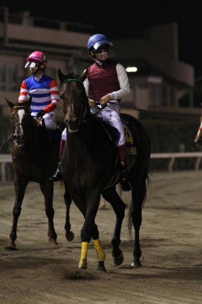 ファイル 493-3.jpg