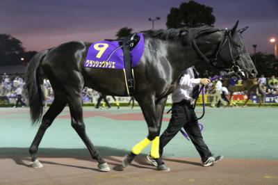 ファイル 494-1.jpg