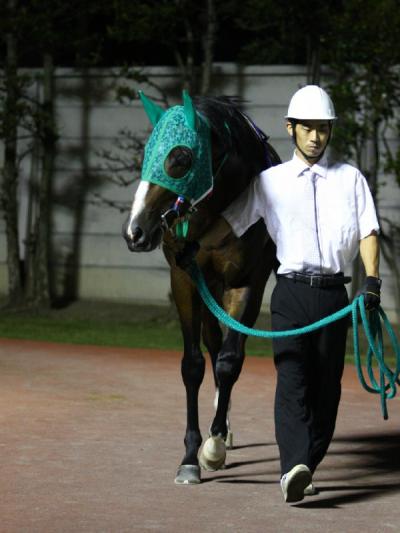 ファイル 498-1.jpg