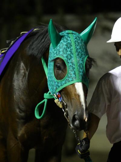 ファイル 498-3.jpg